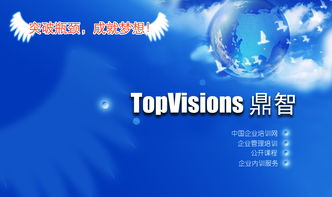 北京鼎志咨詢 人力資源信息咨詢的專業指南