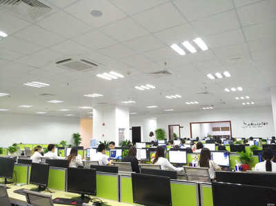 芝林信息咨詢 專業賦能，引領信息咨詢新航向